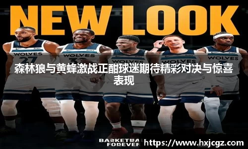 森林狼与黄蜂激战正酣球迷期待精彩对决与惊喜表现